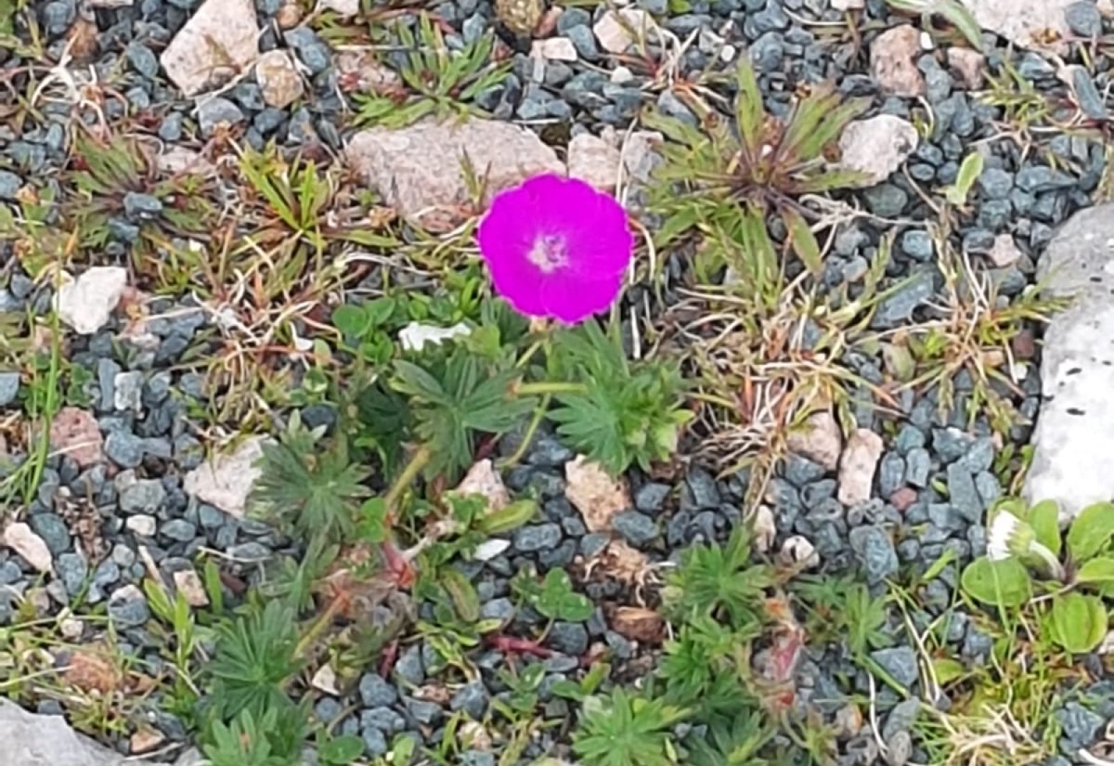 C4E6EC3F-E8AF-4C0B-A8AD-835CEE6EB3E7